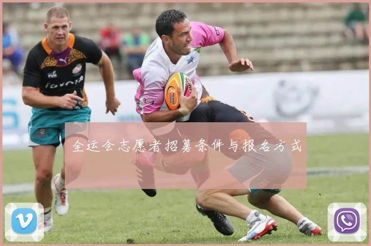 全运会志愿者招募条件与报名方式